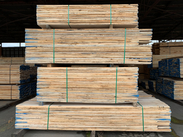 Mixed Hardwood