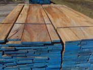 Mixed Hardwood