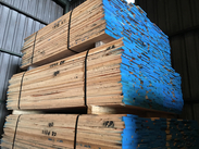 Red Oak