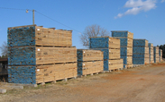 Lumber on Sticks